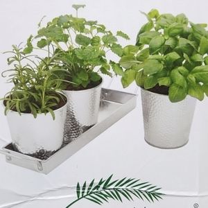 Herb Garden Planter Set with Tray